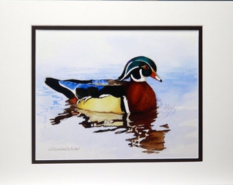 Wood Duck, male, gorgeous, print of original watercolor, matted, Colorful Prints, Wall Art Print, Frameable, gift 4 Bird Watcher, decor