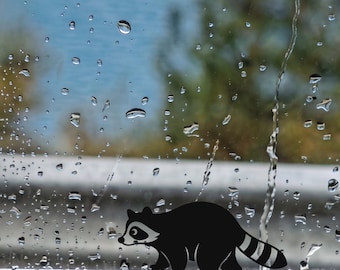 Raccoon Window Decal, Wildlife Car Sticker, Nature Lover Auto Accessory