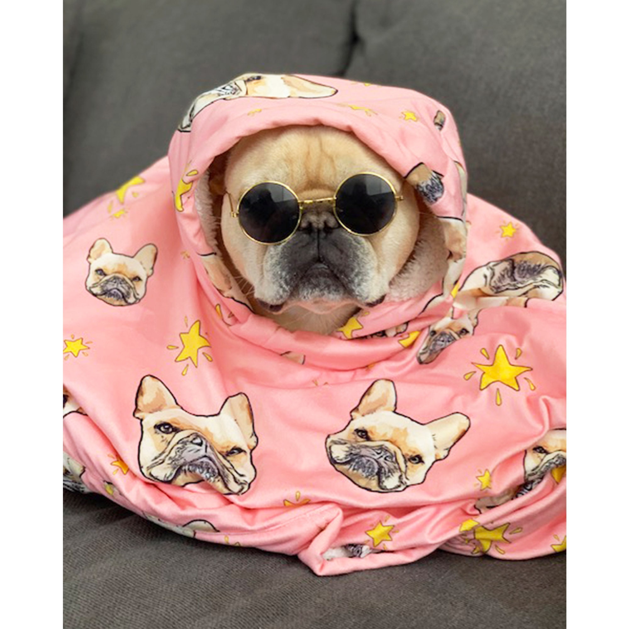 OVERSIZED HOODIE BLANKET Custom Dog Mom Hoodie w/ Your Etsy