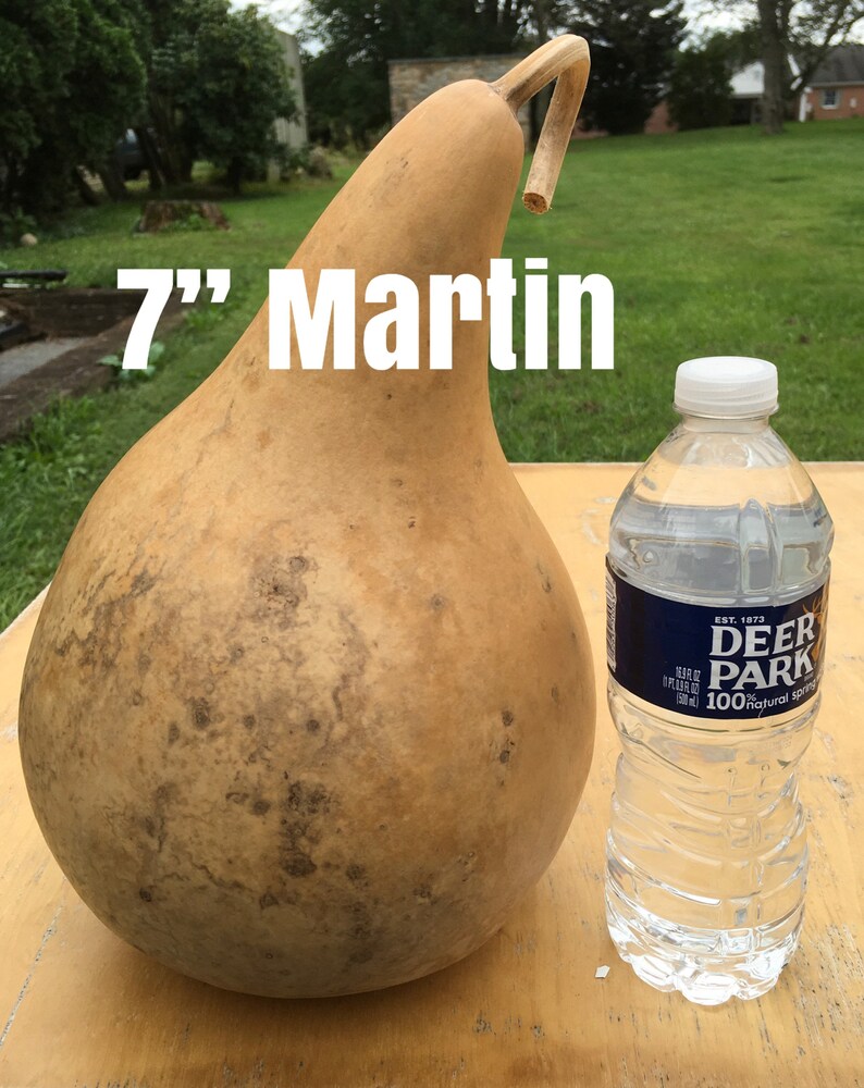 Craft Ready Cleaned Raw Gourds Martin House 7 Inch Etsy