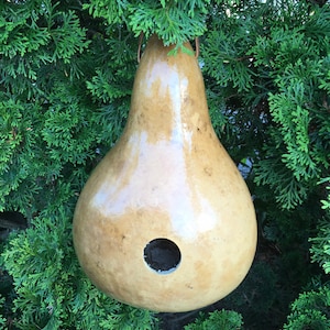 Gourd Birdhouse Stained Handmade image 4