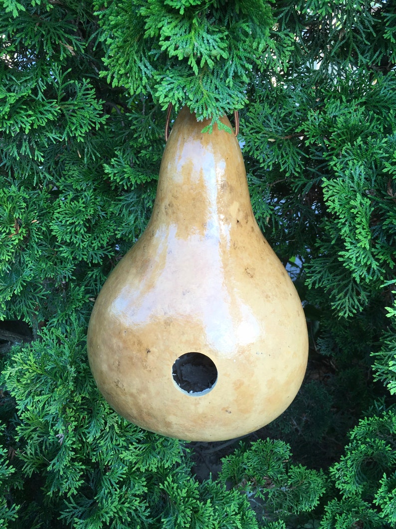 Gourd Birdhouse Stained Handmade image 4