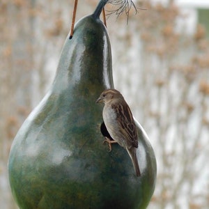 Gourd Birdhouse Stained Handmade image 9