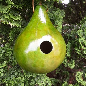 Gourd Birdhouse Stained Handmade image 8