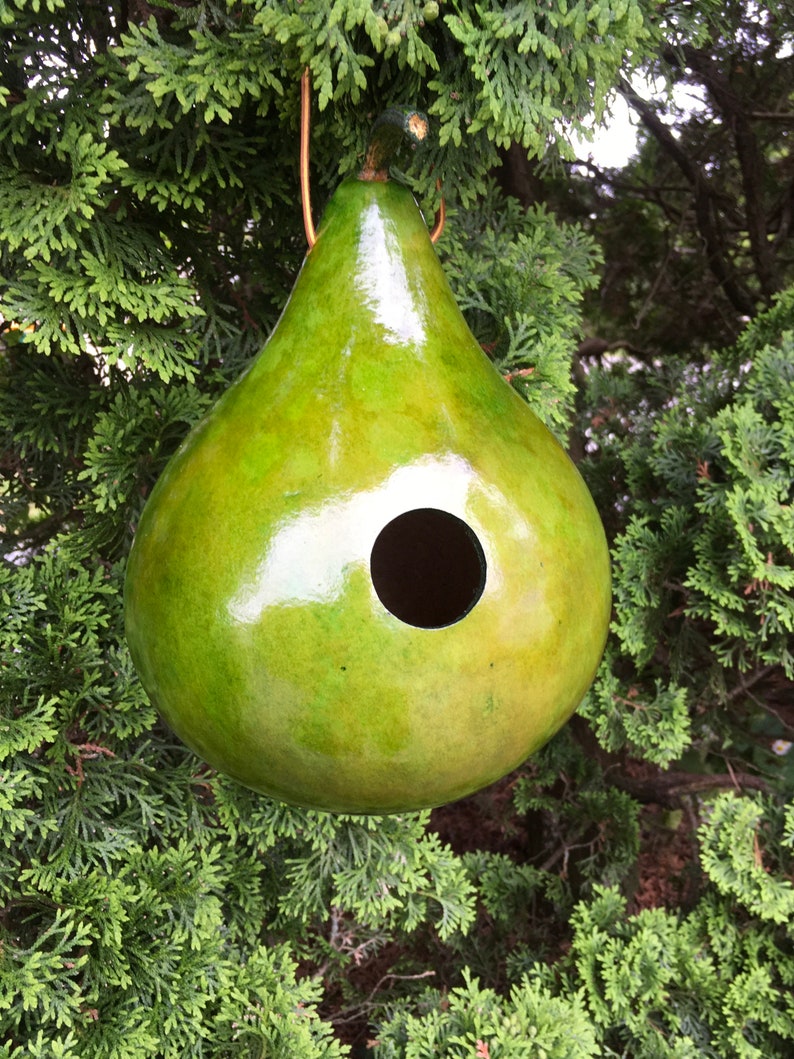 Gourd Birdhouse Stained Handmade image 8