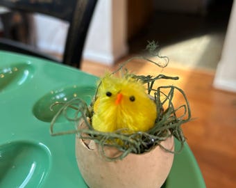 Easter Gourds