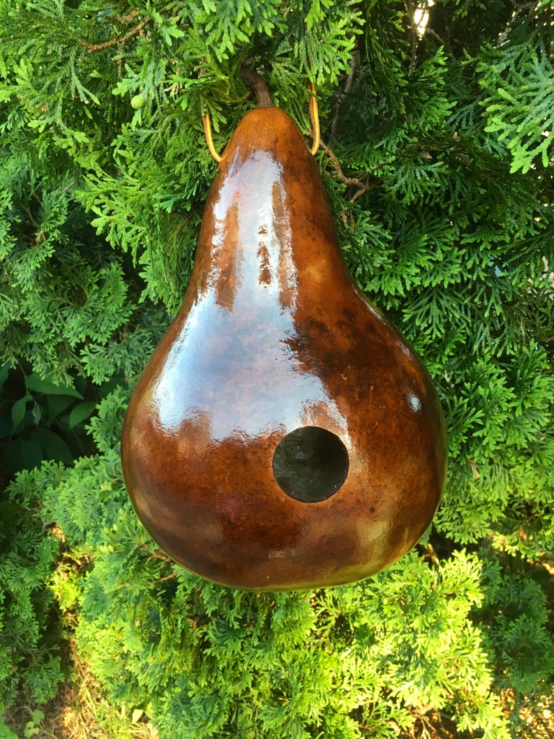 Gourd Birdhouse Stained Handmade image 7