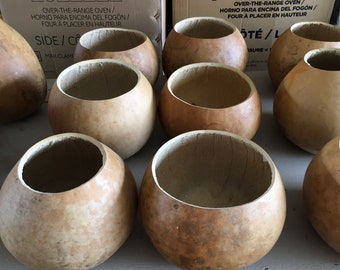 Raw Gourds Craft Ready