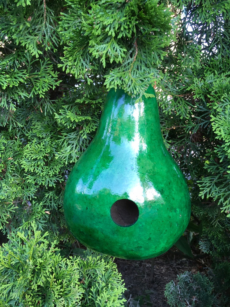 Gourd Birdhouse Stained Handmade image 5