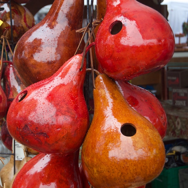 Gourd Birdhouse Stained Handmade