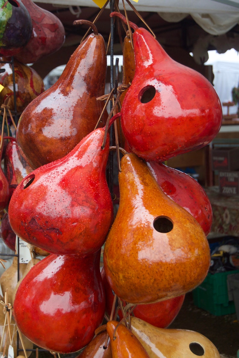 Gourd Birdhouse Stained Handmade image 1