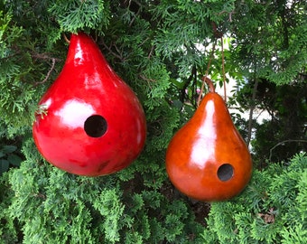 Gourd Birdhouses Special 2 Stained Handmade