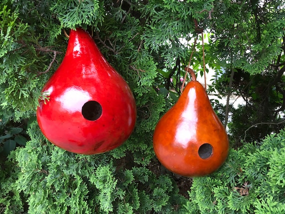Gourd Birdhouses Special 4 Stained Handmade