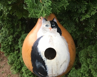 Hand Painted Large Martin Gourd Black and White Cat