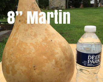 Craft Ready Cleaned Raw Gourds Martin House 8 inch