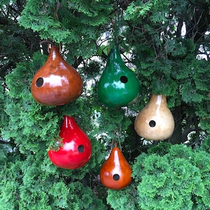 Gourd Birdhouses Special 5 Stained Handmade