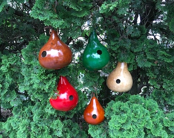 Gourd Birdhouses Special 5 Stained Handmade