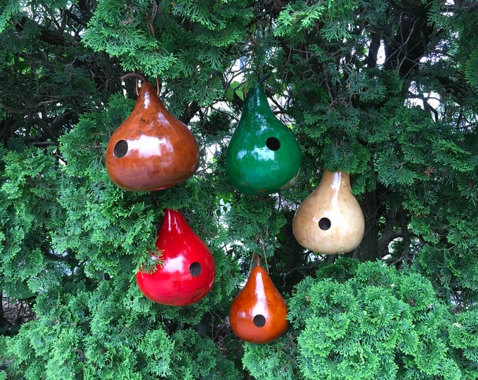 Featured listing image: Gourd Birdhouses Special 5 Stained Handmade