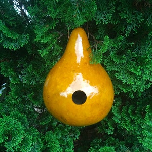 Gourd Birdhouse Stained Handmade image 6