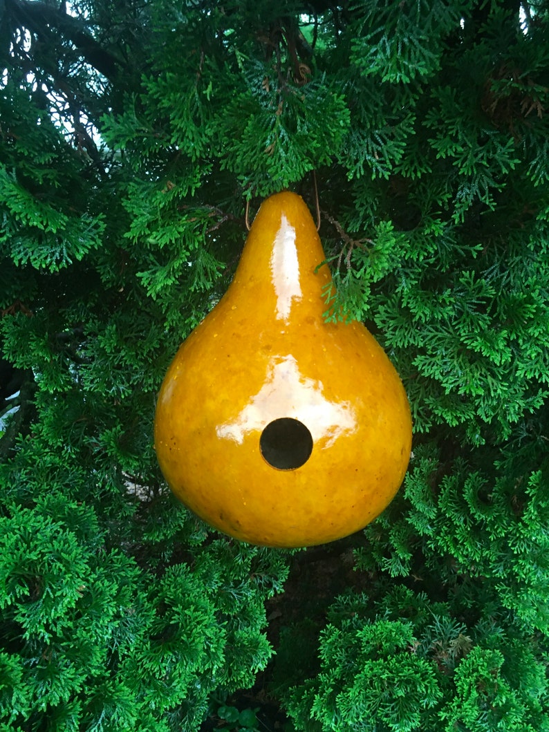 Gourd Birdhouse Stained Handmade image 6