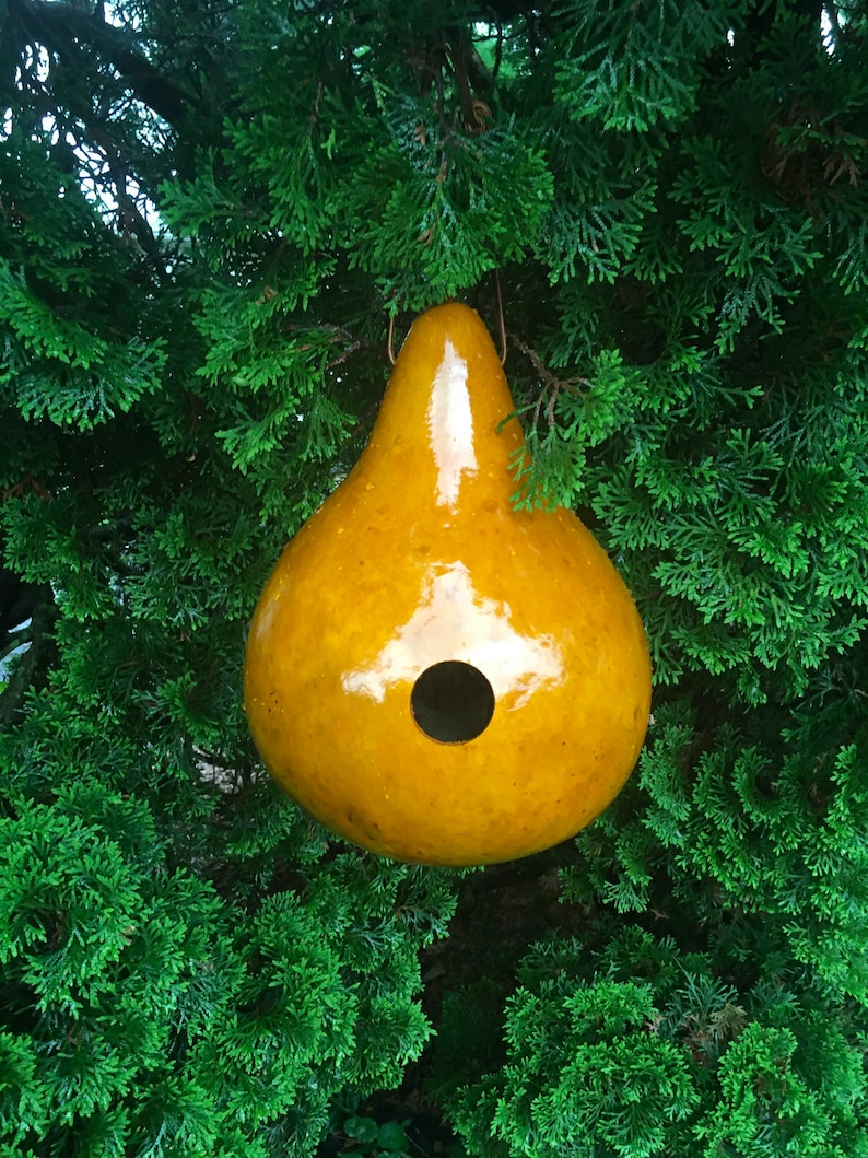 Gourd Wren Birdhouse Stained Handmade 1 1/8 Hole Size READY TO Etsy