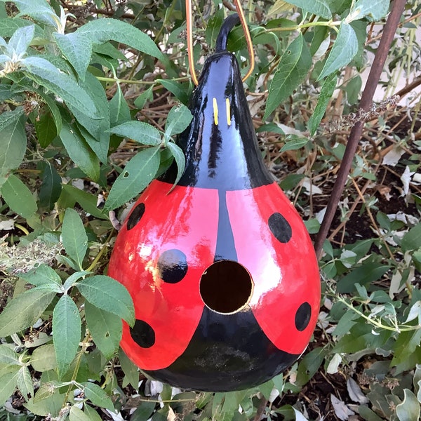 Coccinelle de nichoir de gourde peinte à la main