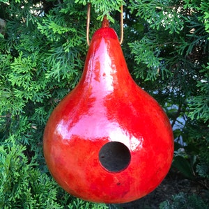 Gourd Birdhouse Stained Handmade image 2