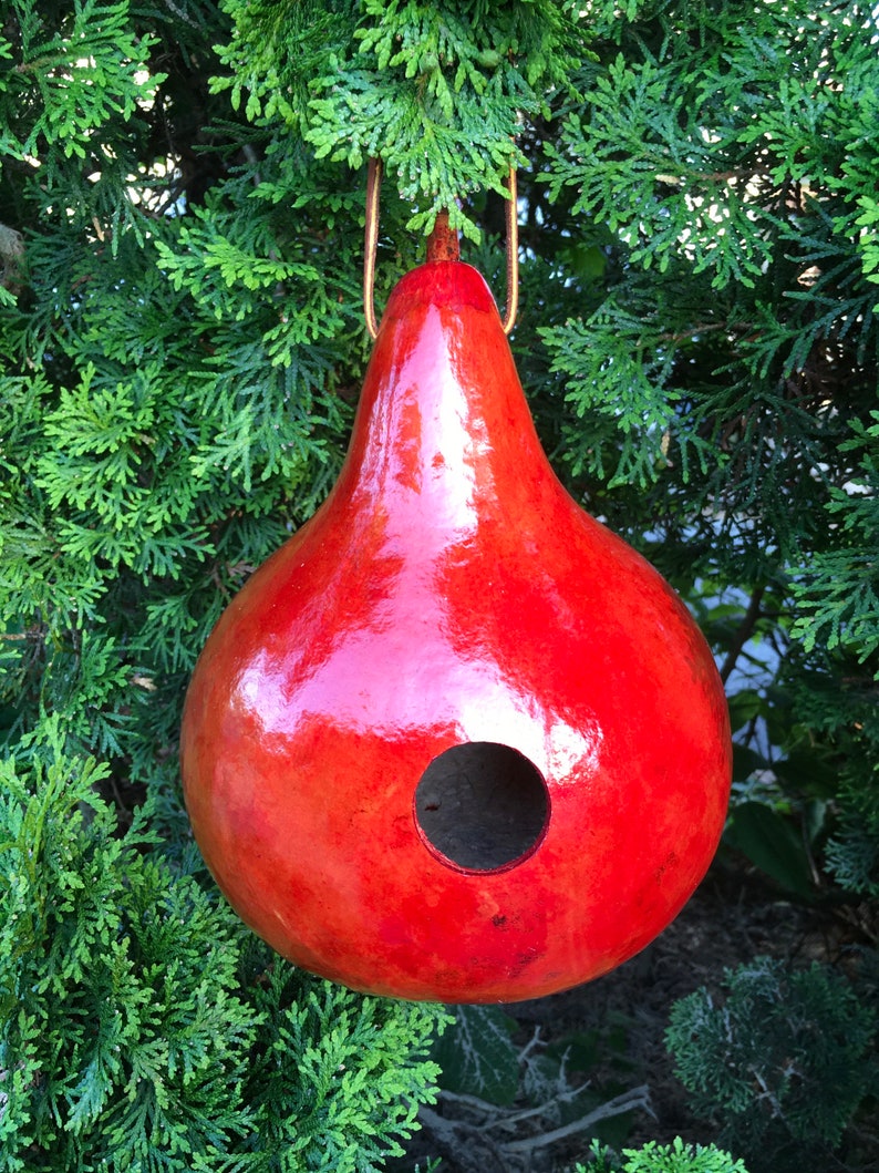 Gourd Birdhouse Stained Handmade image 2