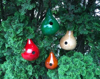 Gourd Birdhouses Special 4 Stained Handmade