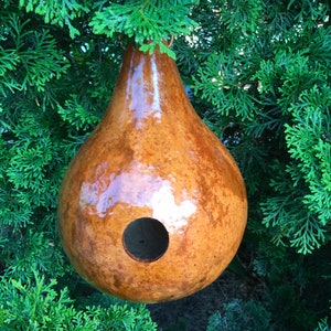 Gourd Birdhouse Stained Handmade image 3