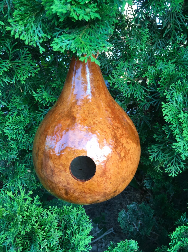 Gourd Birdhouse Stained Handmade image 3