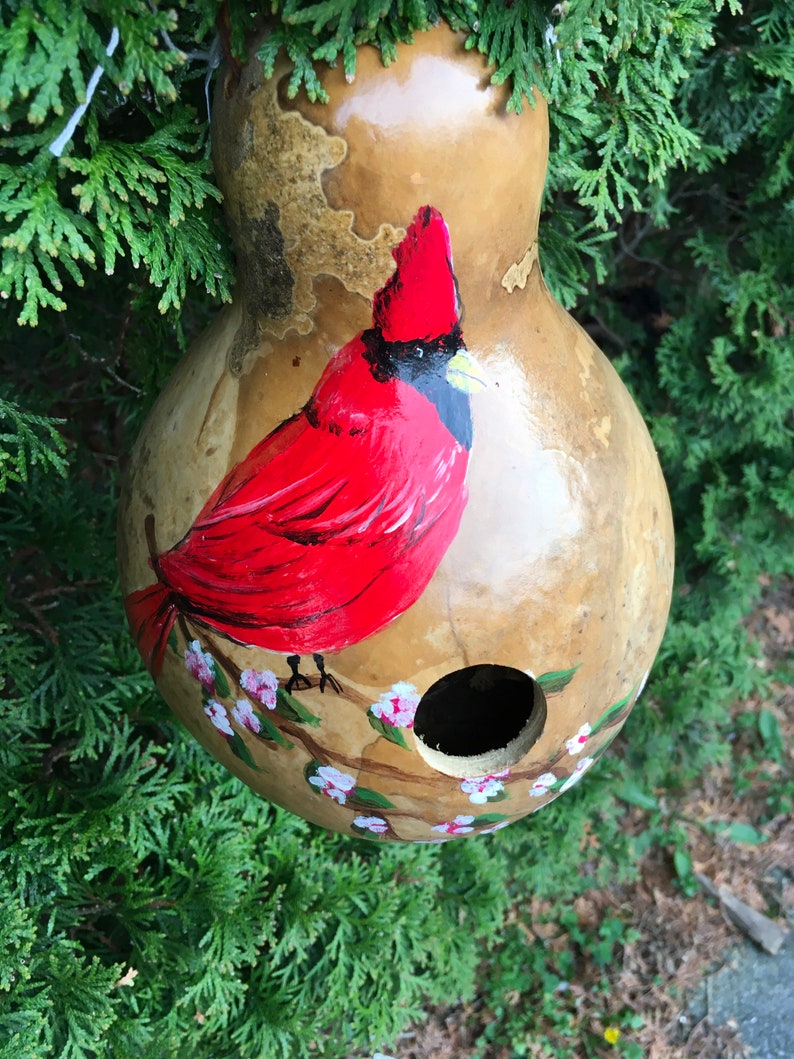 Hand Painted Gourd Birdhouse Red Cardinal Etsy