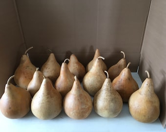 16 Craft Ready Cleaned TOP QUALITY Gourds Martin House 7 inch BOX
