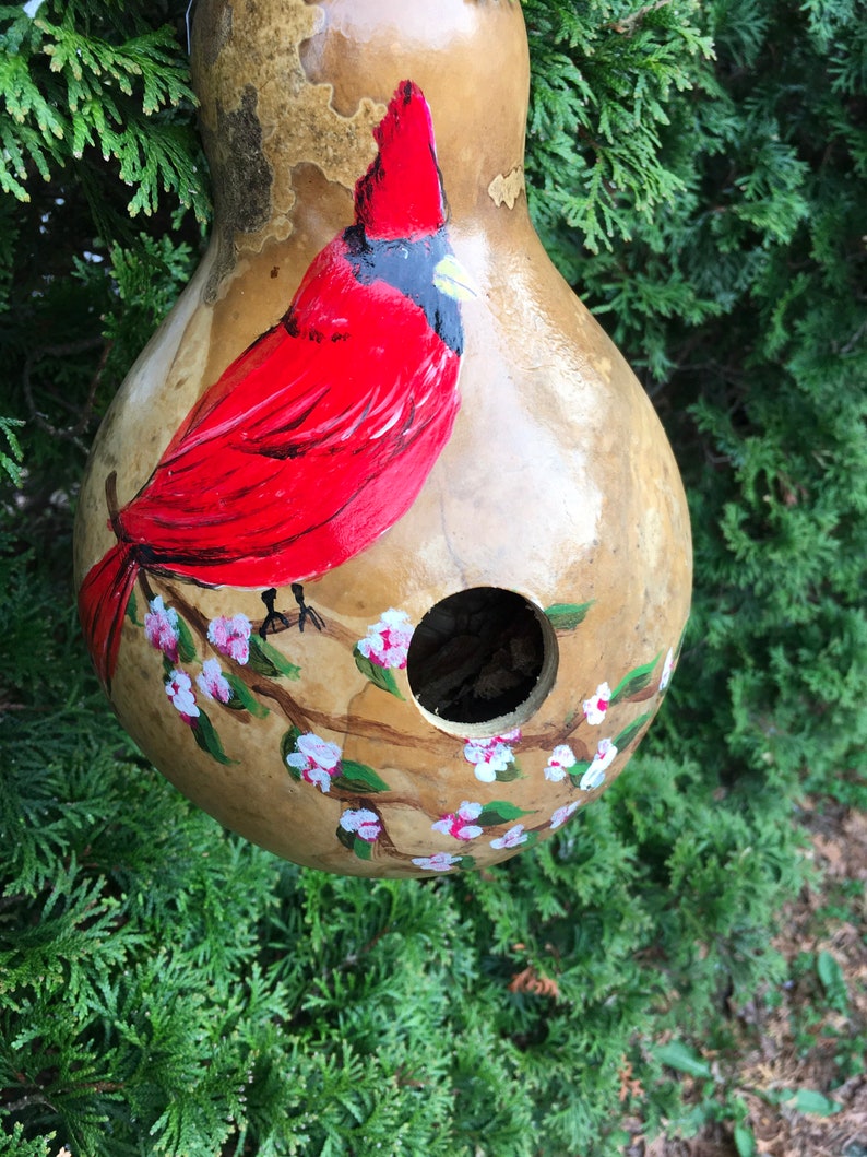 Hand Painted Gourd Birdhouse Red Cardinal Etsy
