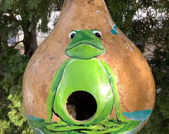 Hand Painted Gourd Birdhouse Frog and Dragonfly