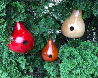 Gourd Birdhouses Special 3 Stained Handmade
