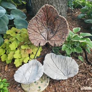 Paint Your Own Cement Rhubarb Leaf