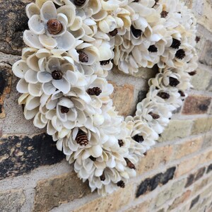Handcrafted Florida Shell Flower Wreath Decor Heart - Etsy
