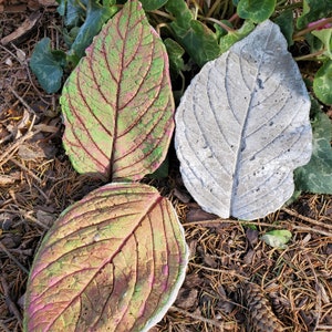 Paint Your Own Handcrafted Concrete Hydrangea Leaf