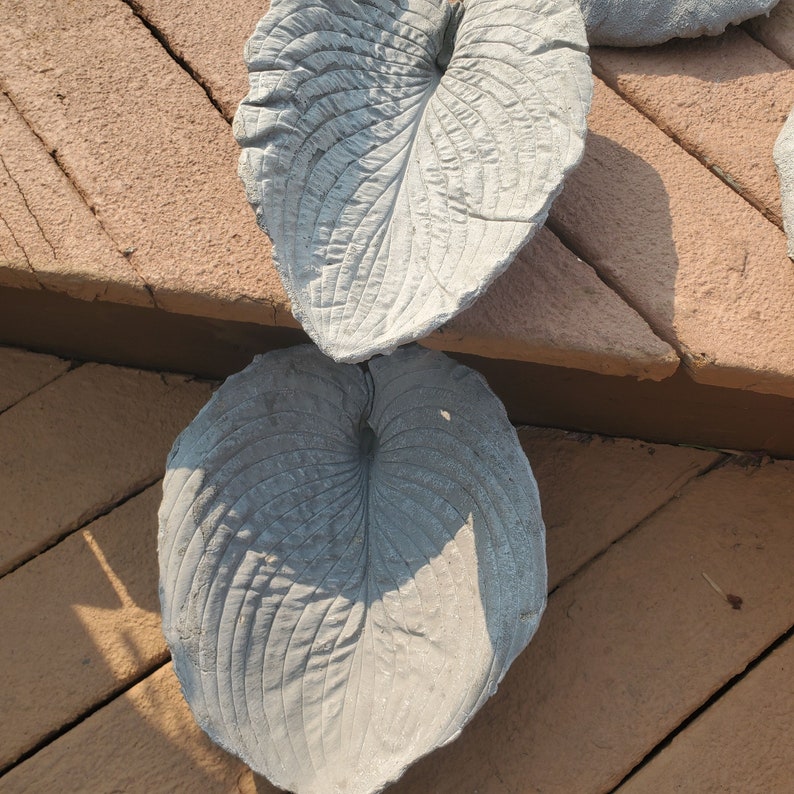 Paint Your Own Cement Hosta Leaf image 4