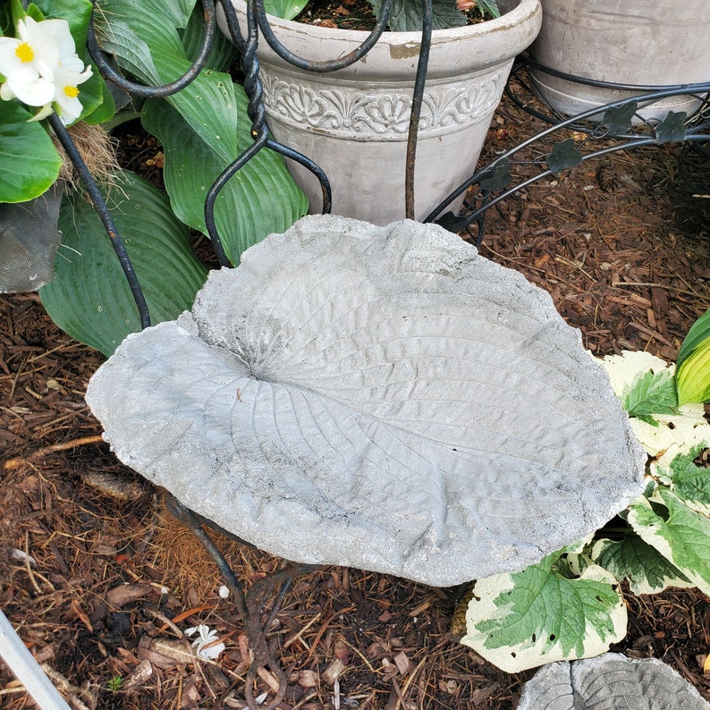 Paint Your Own Cement Hosta Leaf image 7