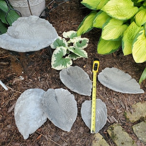 Paint Your Own Cement Hosta Leaf image 6