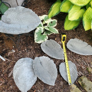 Paint Your Own Cement Hosta Leaf image 8