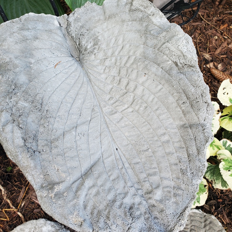 Paint Your Own Cement Hosta Leaf image 9