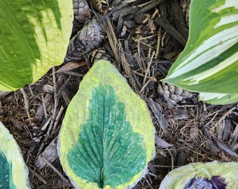 5 Handcrafted and Painted Hosta Leaves