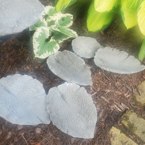 Paint Your Own Cement Hosta Leaf image 1