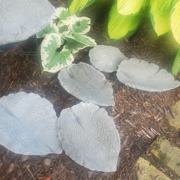 Paint Your Own Cement Hosta Leaf