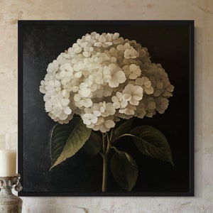 May include: A framed floral print featuring a large white hydrangea bloom against a dark background. The artwork showcases the flower's intricate details with green leaves and stem, creating a classic botanical aesthetic.