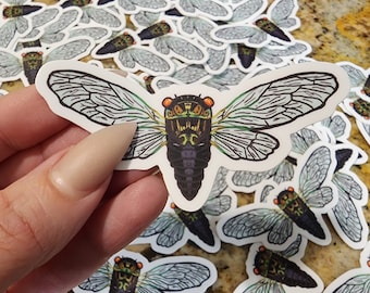 Cicada sticker - gift for bug lovers - entomology