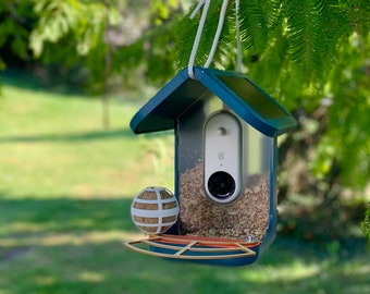 A Bird Buddy must - International Shipping! The Bird Buddy Perch in colours birds can see - Acrylic or Sustainable Wood - Ships Worldwide